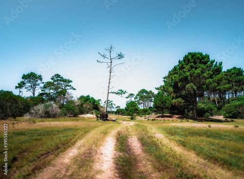 road in the countryside