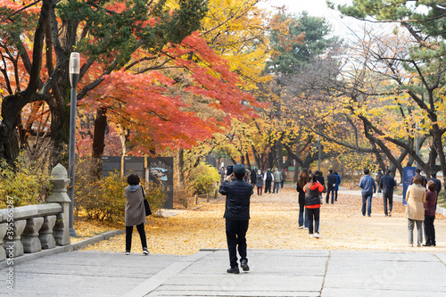 people enjoying autumn leaves in the garden of Deoksugung Palace.