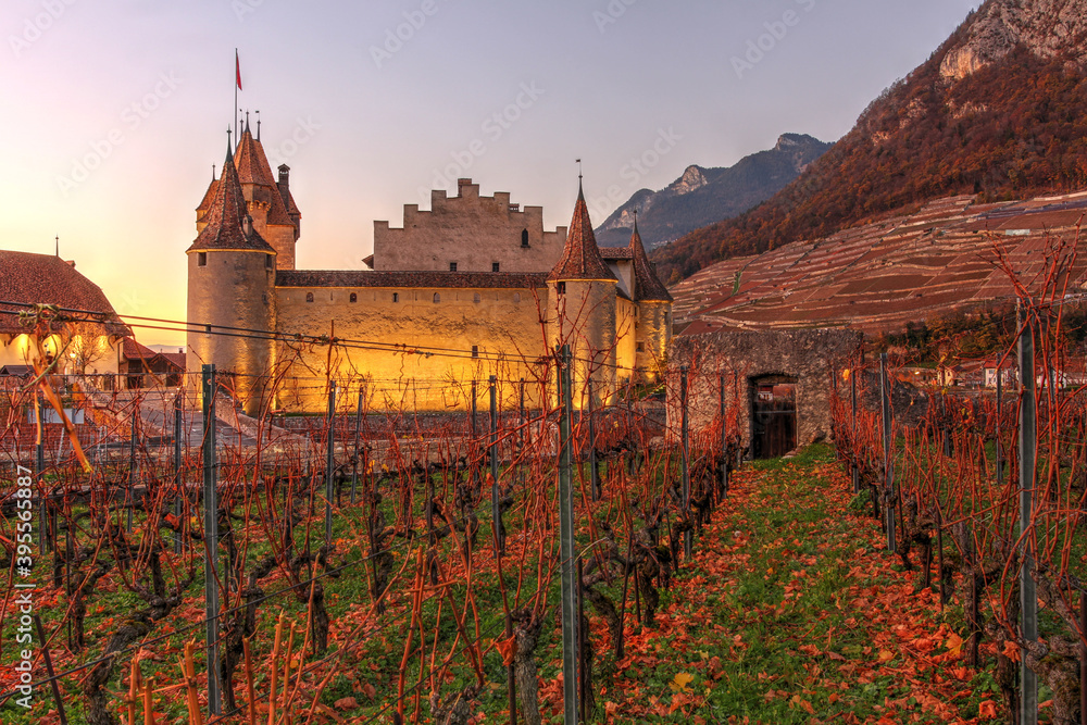Aigle Castle amist autumn vineyards, Switzerland