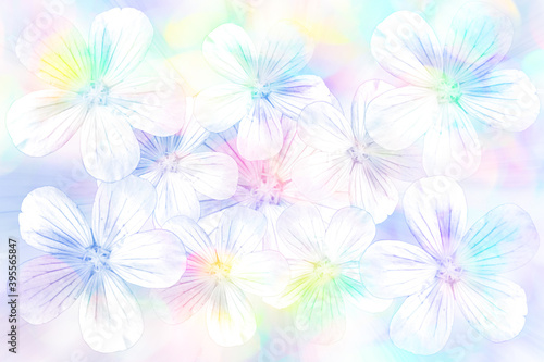 Background with a composition of flowers, floral white background with multi-colored glare © Maistet