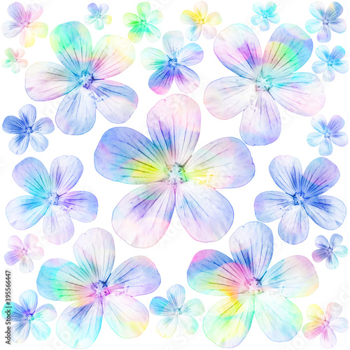 Background with a composition of flowers, floral white background with multi-colored glare
