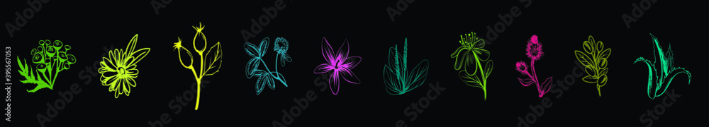 set of cosmetic herbs cartoon icon design template with various models. vector illustration isolated on black background