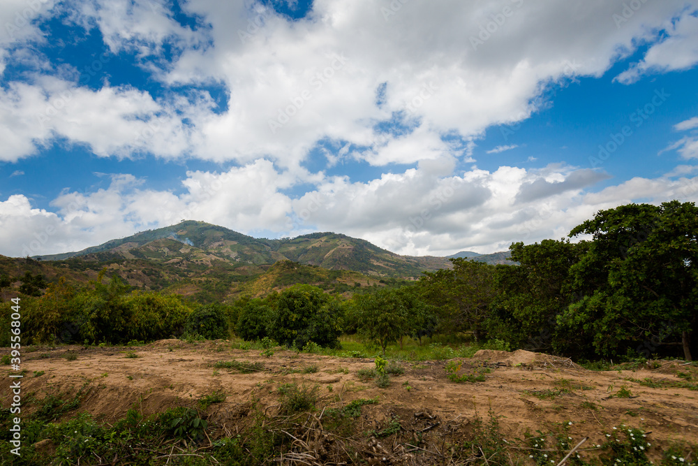 Fototapeta premium Vietnamese mountains close to Dalat