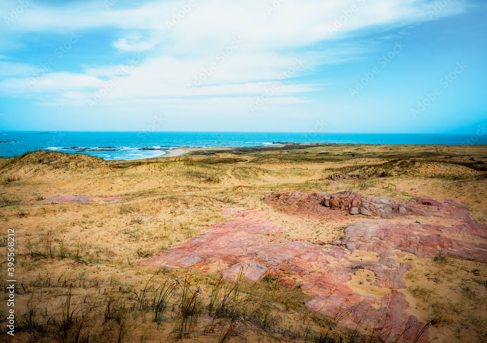 coast of the island of island