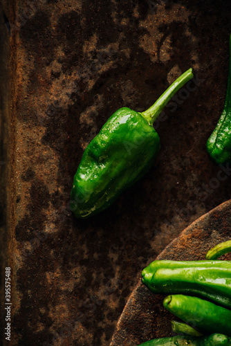 Fresh green pimientos de padron photo