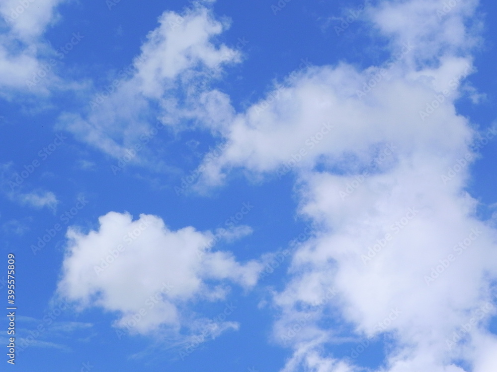 Fototapeta premium cielo