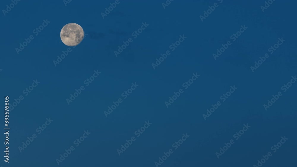 Close-up Full moon moving in the blue sky at sunrise.