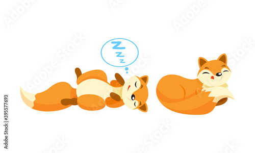 Cute Orange Fox Cuddling and Sleeping Vector Set