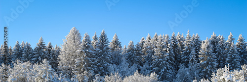 Mysterious landscape mountains in winter. Magical snow covered tree. Photo greeting card. Happy New Year.