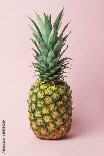 pineapple щт ф зштл ифслпкщгтв