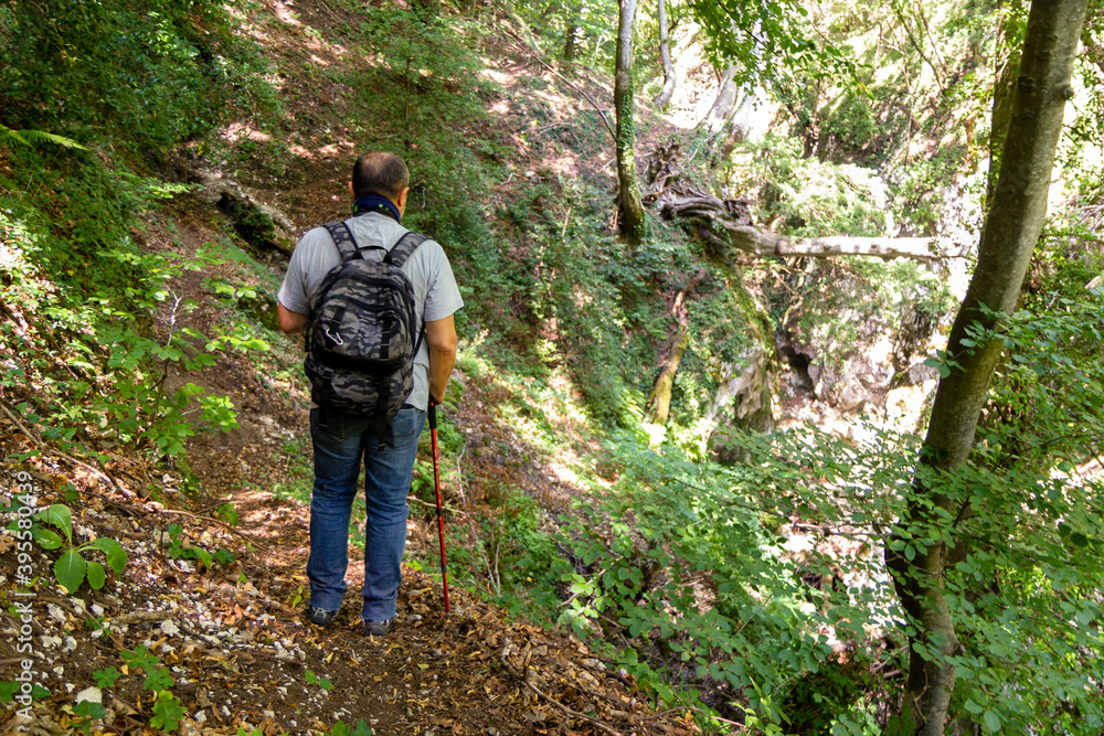 hiker in the woods trekking in Varo della Spina to Montella Avellino