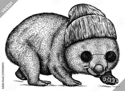 czarno-białe wygrawerować ilustracja wektorowa wombat na białym tle