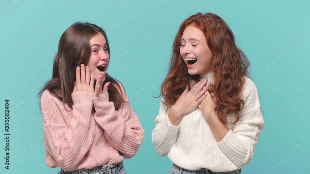 Two fun shocked surprised young brunette redhead women friends 20s years old in casual clothes pastel pink white sweaters say wow isolated on blue background studio portrait. People lifestyle concept Two fun shocked surprised young brunette redhead women friends 20s years old in casual clothes pastel pink white sweaters say wow isolated on blue background studio portrait. People lifestyle concept