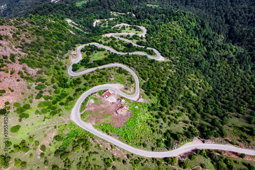 The Hyrcanian Forests an zone of lush lowland and montane forests covering about 55,000 square kilometres  adjoining the shores of the Caspian Sea of Iran and part of that of Azerbaijan.  photo