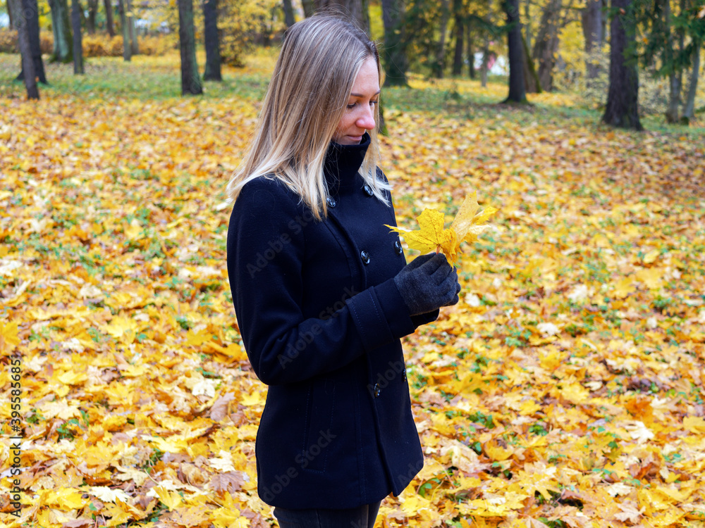 Young woman picks up fallen colorful autumn leaves. Girl collect yellow leaf. woman walking in the autumn Park Young woman picks up fallen colorful autumn leaves. Girl collect yellow leaf. woman walking in the autumn Park