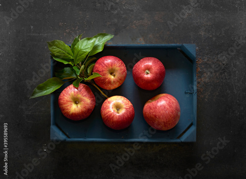 Fresh red Elstar apples in a wooden crate photo