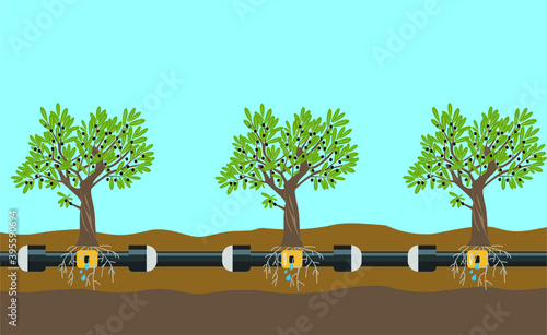 Underground or in ground drip irrigation system. Water irrigation. Automatic sprinklers system. Vector illustration flat design. Smart farming application concept. Saving water and time