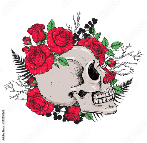 Skull and roses flowers hand drawn illustration. Tattoo vintage print. Skull and red roses. T-shirt design.