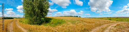 Sunny summer panoramic landscape with farm fields