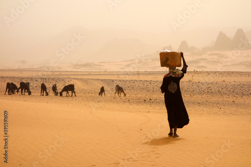 Dreamy desert landscape somewhere in Sudan, Africa. © YiannisMantas