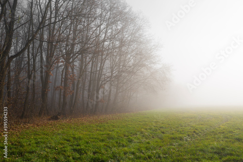 Autumn morning on a field with trees and morning glow