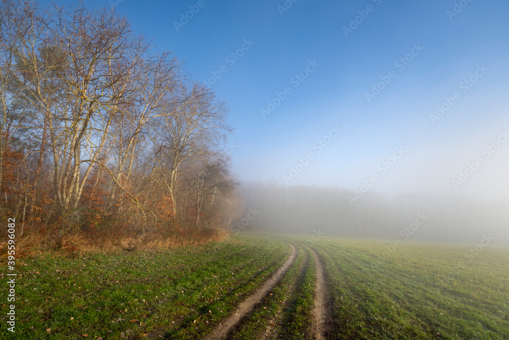 Autumn morning on a field with trees and morning glow Autumn morning on a field with trees and morning glow