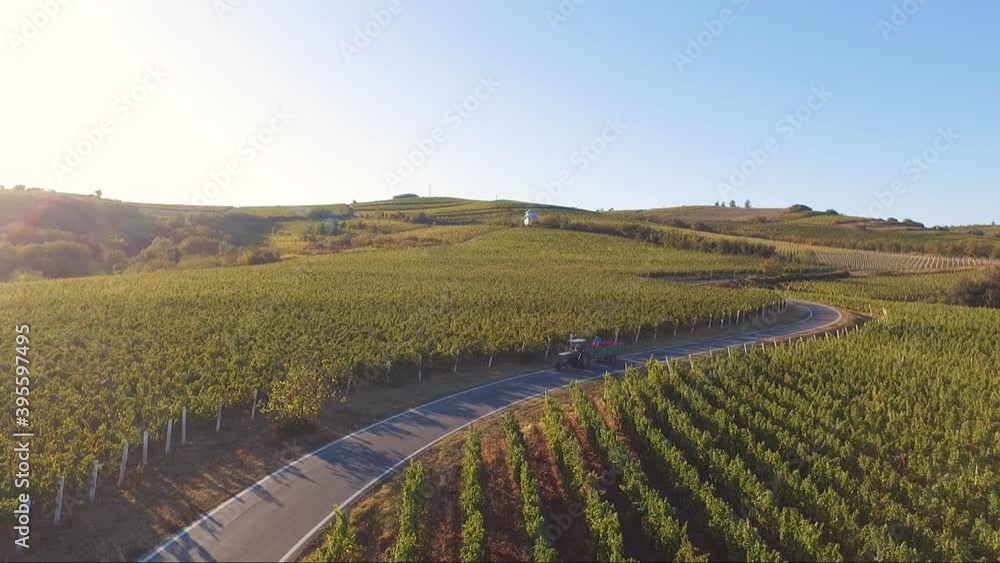 Drone shot of a tractor transporting grapes to the winery Drone shot of a tractor transporting grapes to the winery