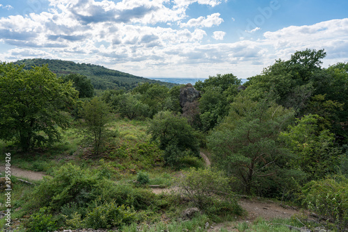 View from the top of the rock wall of the Stenzelberg over the wooded area.