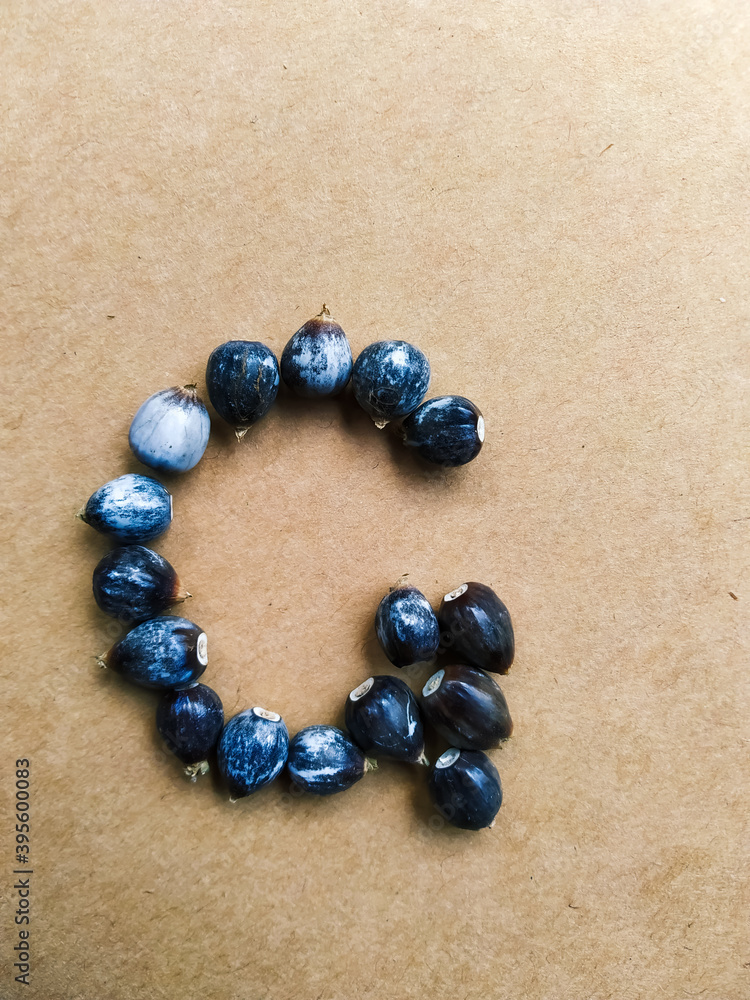 Seeds of Job's tears, scientific name Coix lacryma-jobi, arranged in a Seeds of Job's tears, scientific name Coix lacryma-jobi, arranged in a