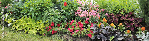 Fototapeta Naklejka Na Ścianę i Meble -  Nice view of the botanical garden. Texture for landscape designers. Panorama with a flower bed of red, pink, burgundy, orange flowers.