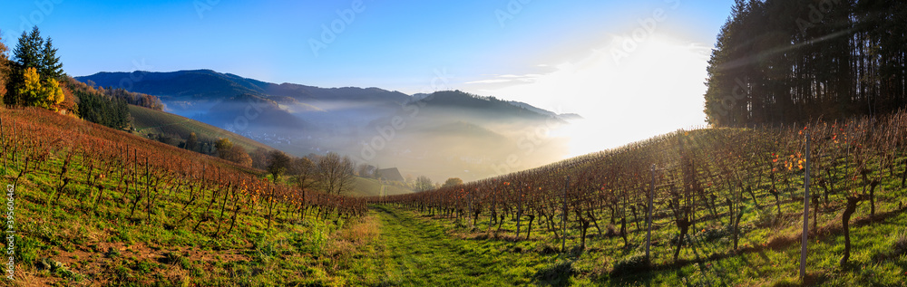 Panorama view into the Rhine valley seen from the Glottertal at sunset, Black Forest, Germany