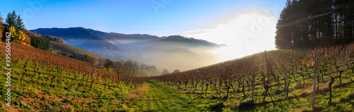 Panorama view into the Rhine valley seen from the Glottertal at sunset  Black Forest  Germany