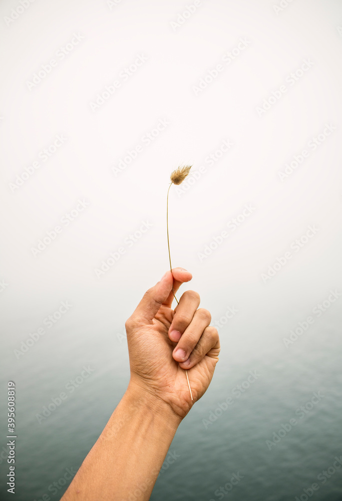 Nazaré! Nazaré!