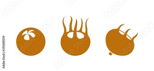 Slika na platnu Medlar logo. Isolated medlar on white background