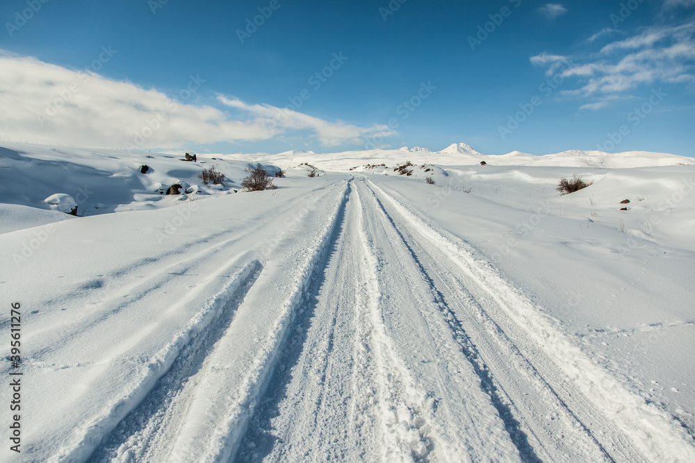 road and landscape in snowy day