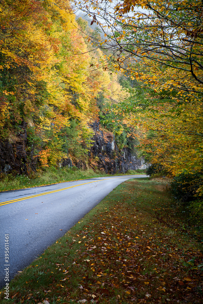 Blue Ridge Parkway surrounded by fall color Blue Ridge Parkway surrounded by fall color