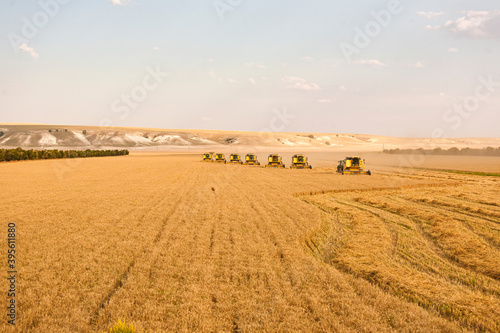 The combine harvester removes wheat fields. Harvest 