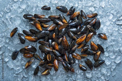 Fresh mussles, view from above photo