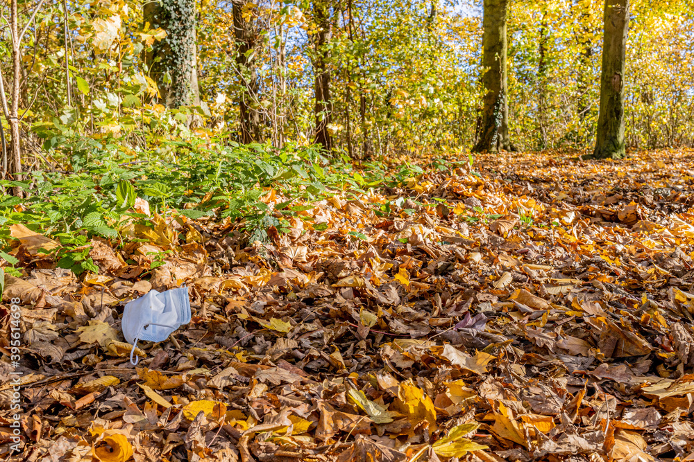 Obraz premium Medical mask, dry autumn leaves covering the ground, yellowish green vegetation of the fall season, sunny day in the forest, South Limburg, Netherlands. Environmental pollution in times of coronavirus