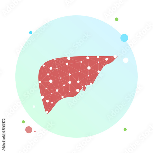 Liver health low poly wireframe. Polygonal anatomic model of human liver made of stars, lines, dots, triangles. Medical and anatomy concept. Cirrhosis and hepatitis medical treatment, transplantation