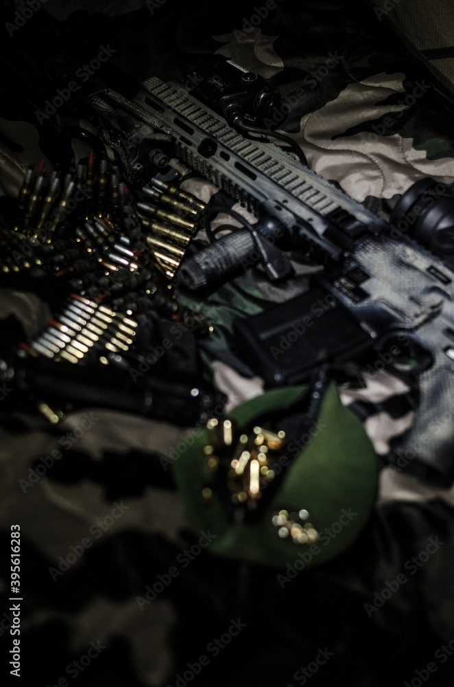Fototapeta premium arme