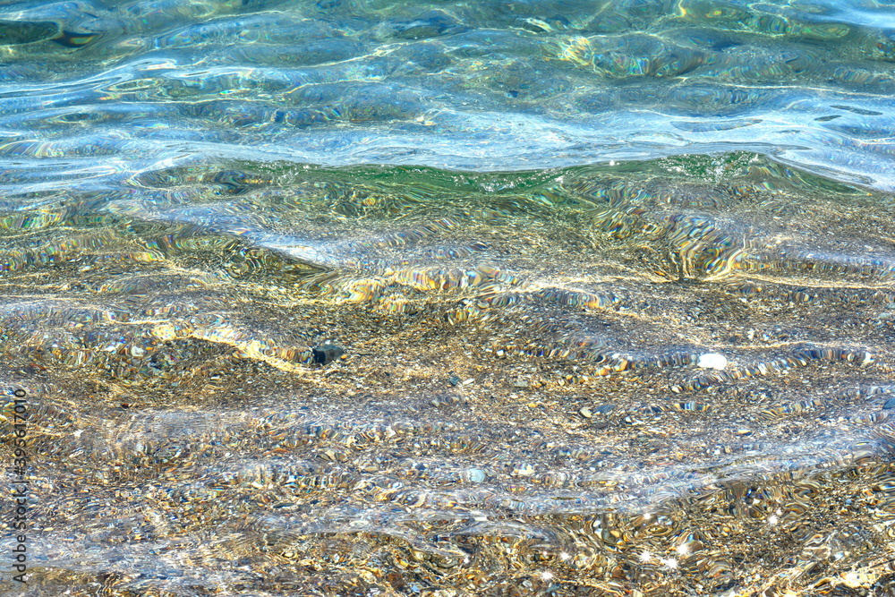 sea urchins live on the rock under the sea near the sea water surface sea urchins live on the rock under the sea near the sea water surface