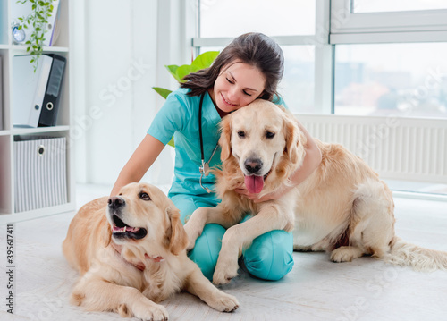 Canvas Print Pair of golden retriever dogs beside veterinarian