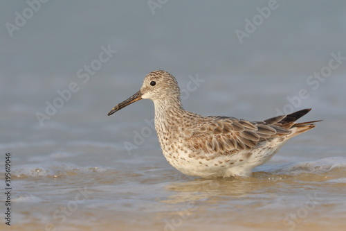A great knot surfing