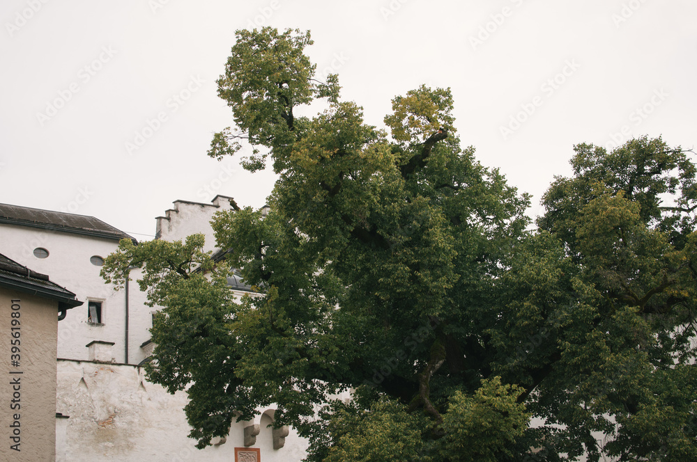 Exploring the city of Salzburg, it was raining all day Exploring the city of Salzburg, it was raining all day