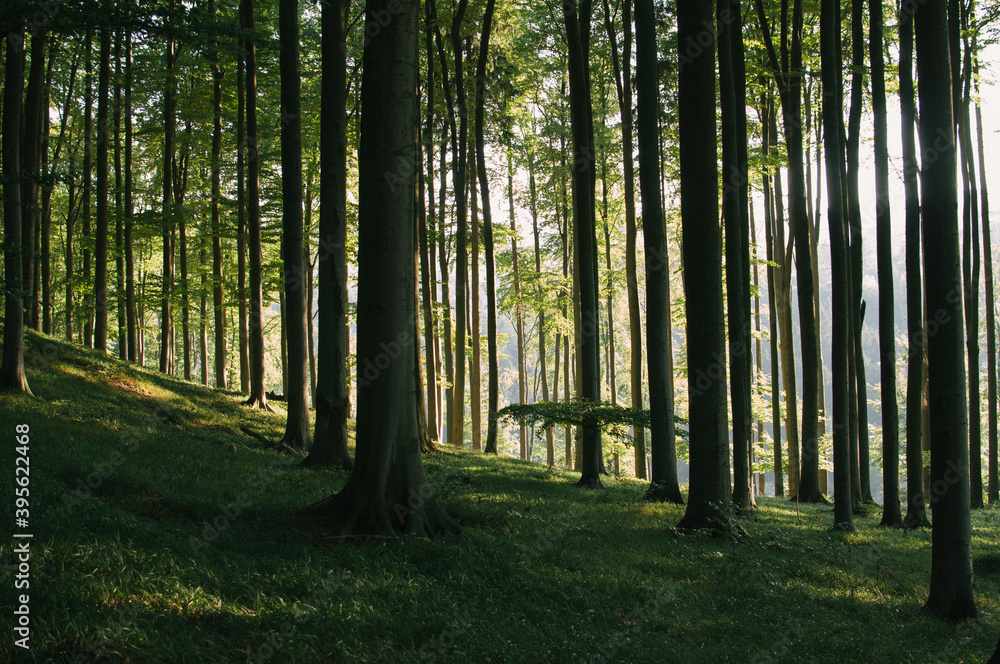 Obraz premium Gone bouldering, on the way to find hidden rock formations