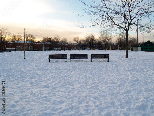 Snow-covered wooden benches in an urban park. Christmas concept. Winter concept