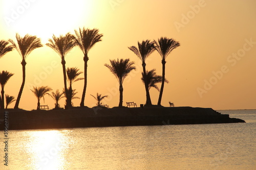Tropical island with palm trees in ocean in dawn. Summer vacations