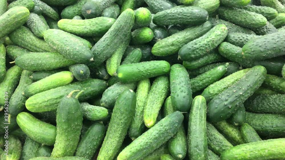 Cucumbers are on sale in supermarket, close up view as a background Cucumbers are on sale in supermarket, close up view as a background