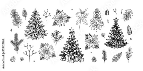Set of Christmas design elements: decorated fir tree, spruce branches, cones, poinsettia, mistletoe.  Design elements for Christmas cards, invitations, decorations. Vector illustration in sketch style
